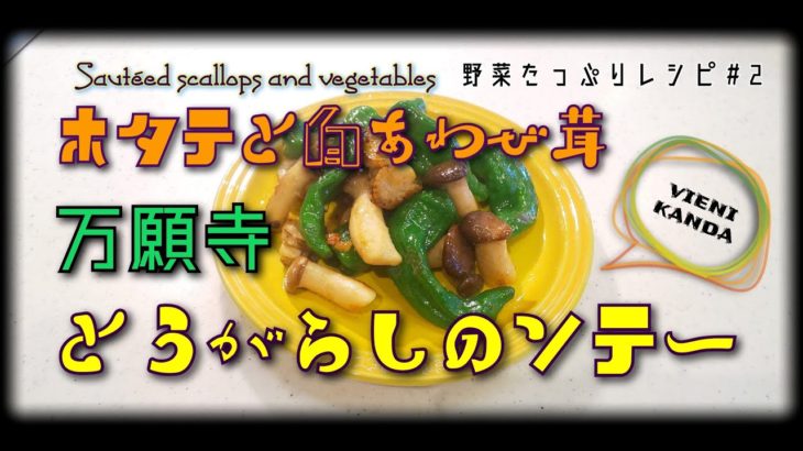 野菜たっぷりレシピ#２　ベビーホタテと白あわび茸万願寺とうがらしのペペロンチーノ風ソテー　vienikandarecipe　Souteed scallops and vegetables