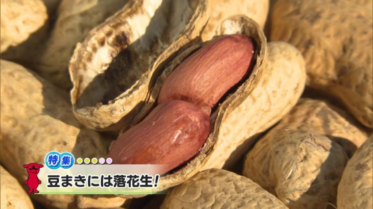 ウィークリー千葉県「豆まきには落花生！」R7/1/25