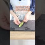 ホンモノの生わさび、どっちから使う？高いけど使わずにいられない生ワサビの魅力#豆知識 #フードコーディネーター #shorts