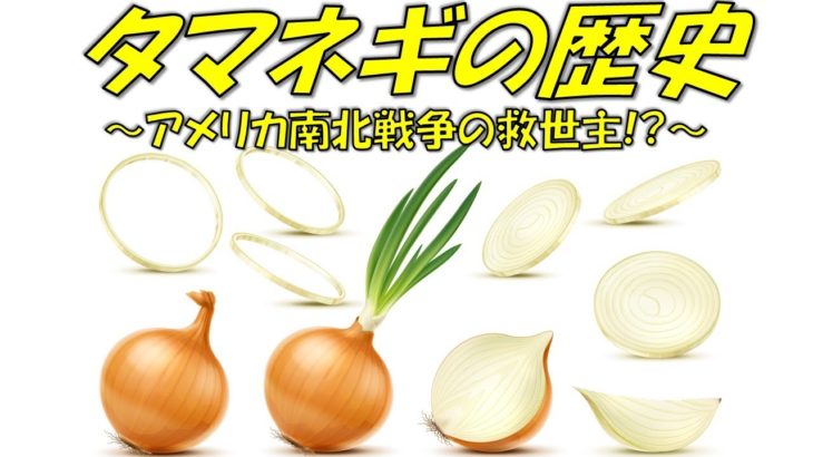 玉ねぎの歴史 ～アメリカ南北戦争の救世主!?～