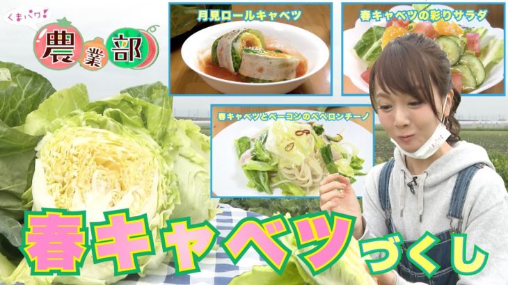 【農家メシ】出荷最盛期春キャベツづくし♪農家直伝レシピを紹介