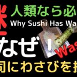 完成 人類なら必見！寿司にわさびを付ける理由？深い深い理由があるんですよ！今回はわさびについて深堀りします。 #謎  #雑学  #歴史