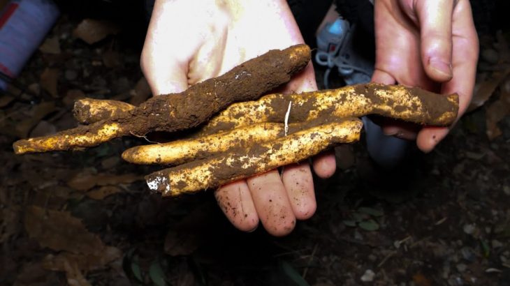 自然薯掘ってとろろご飯作る【ENG SUB】