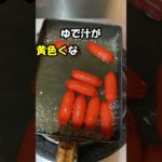 着色料の比較実験…