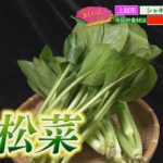 「1年中食べられる万能野菜！小松菜が絶品レシピに！」えいっとレシピ “くらしに笑顔を、食卓に新潟の恵みを” #72 ＜【公式】スマイルスタジアムNST＞