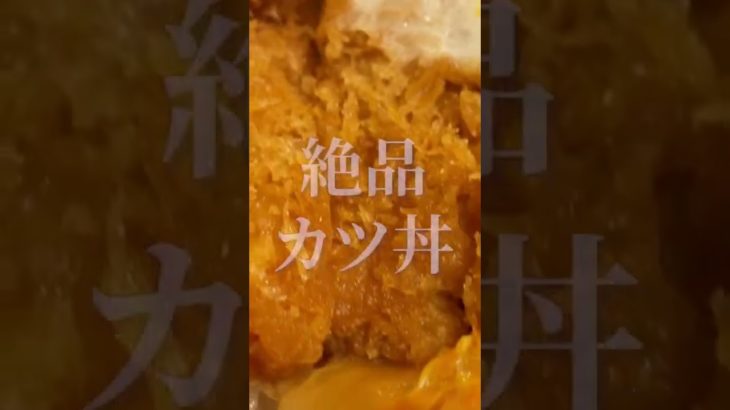 【隠れ家】老舗の蕎麦屋の隠れ名物！コク旨サクサク「カツ丼」#shorts