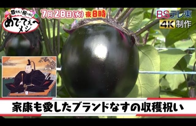 祭りだ！祝いだ！めでてぇ～メシ【祝！収穫・家康が愛した極上なす】| ＢＳテレ東