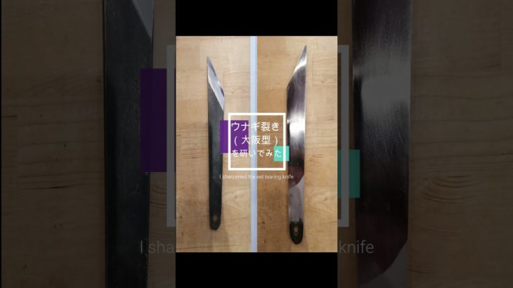 #Shorts ウナギ裂き（大阪型）を研いだ　by　店長 廣瀬
