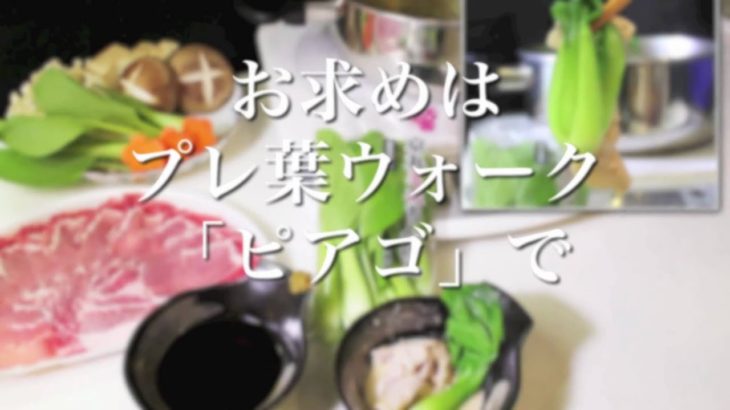 【Web番組】シニア野菜ソムリエ山城知美が作る♪ー豚肉しゃぶしゃぶー