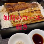 高知　鰻　コース　ディナー