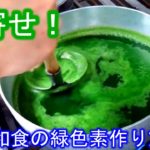 【青寄せ】　昔からの和食の緑色素　作り方！