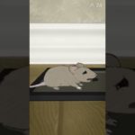 粘着トラップを使ってはいけない理由【短編アニメ】