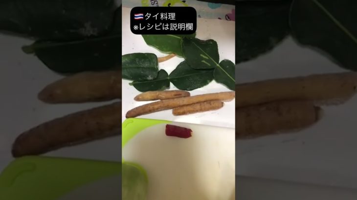 #1【タイ人妻】がつくるタイ料理【パッチャー】