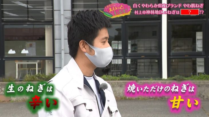【公式】「『ねぎが主役の丼』と『ねぎが主役の最強のおかず』！新潟県産ブランド・やわ肌ねぎが大化け」とれたて！えいっとレシピ “くらしに笑顔を、食卓に新潟の恵みを” #19＜スマイルスタジアムNST＞