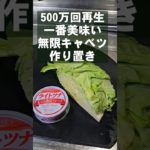 500万回再生！無限キャベツ作り置き 簡単レシピ  おつまみ 副菜 常備菜ナムル ツナ缶レシピ