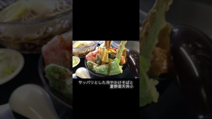 冷かけおろしそば夏野菜天丼#shorts