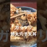 【特大穴子天丼】絶対に腹一杯になるランチ