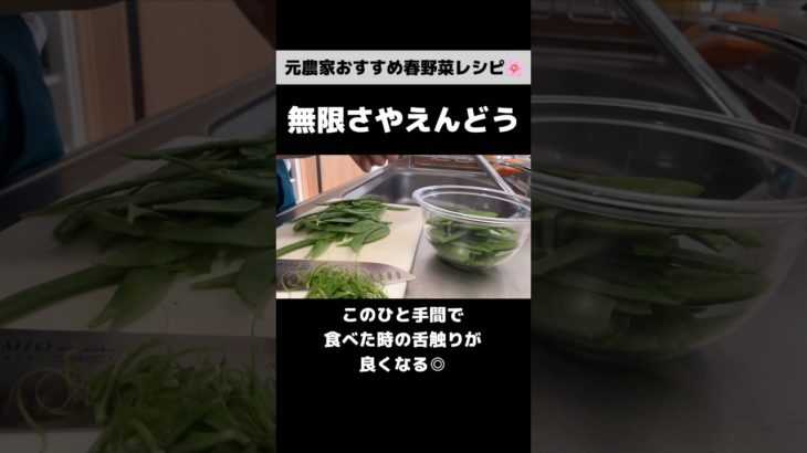ぜひ作って欲しい！さやえんどうの美味しい食べ方｜こく旨クリチー濃厚サラダ