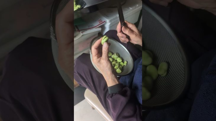 そら豆の下処理の工夫技術　#そら豆 そら豆