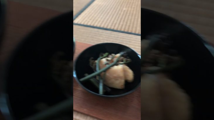 筍ももう終わりです！