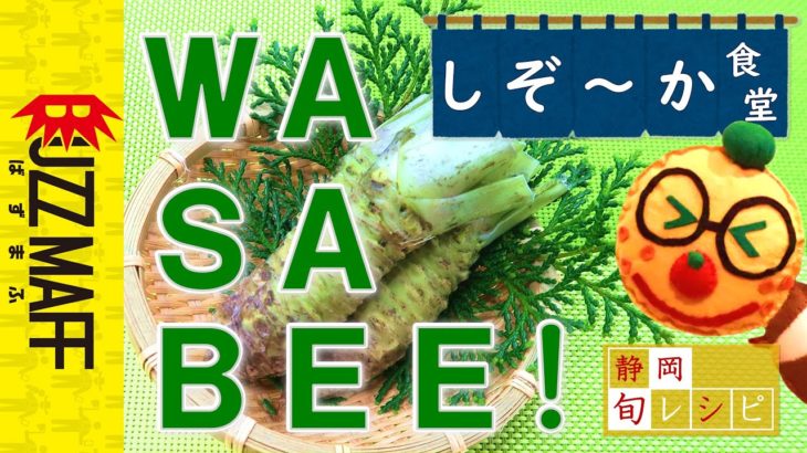 静岡の特産「わさび」の魅力とレシピを紹介します　しぞ～か食堂#10