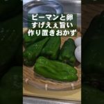 500万回再生！ピーマンと卵のすげぇ旨い！簡単作り置きおかず 常備菜 副菜 主菜 人気レシピ