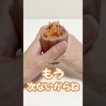 リスをイジメるとこうなる#shorts