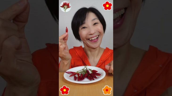 🔥唐辛子食べてみた🔥 #リクエスト多いから😅 #自家製唐辛子 #頂いたよ #shorts