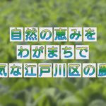 自然の恵みをわがまちで 元気な江戸川区の農業