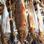 Amazing Japanese Food Collection | Salted Aged Salmon, Japanese Sausage Shop, Traditional Sweets