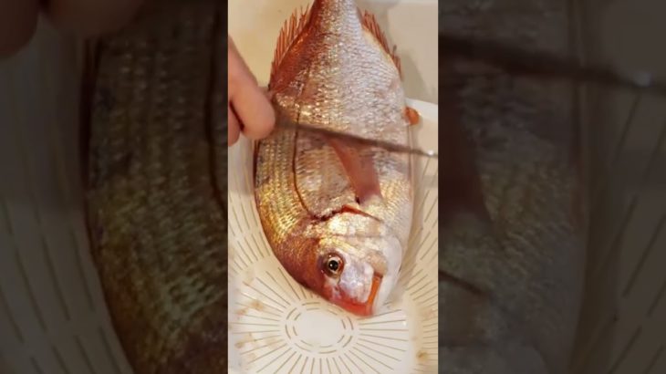 Insanely delicious, budget-friendly Japanese food | Yosenabe (寄せ鍋) hotpot