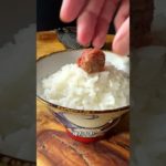 夏・冷やし茶漬け #shorts