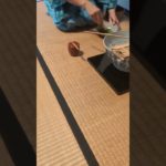 江戸千家の冷たいお薄　江戸千家のお稽古は毎月第四日曜日！