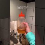 うちのハチミツは信じられるのか検証してみた。#shorts