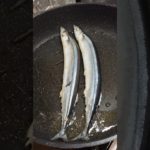 【料理】めちゃめちゃはまったサンマの食べ方。#shorts_ #shorts