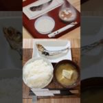 【美味しんぼ】本物の土佐の丸干しとご飯と味噌汁を再現してみたら美味すぎた！