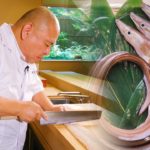 【日本料理の技術力】素材を見極め丁寧な仕事が味を左右する鱧料理ができるまで 【前編】｜懐石 小室｜【料理王国】【鱧】【季節の料理】