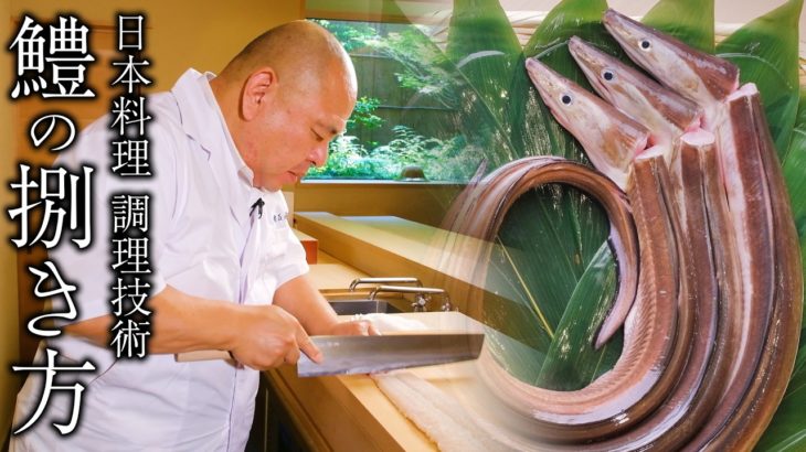 【日本料理の技術力】素材を見極め丁寧な仕事が味を左右する鱧料理ができるまで 【前編】｜懐石 小室｜【料理王国】【鱧】【季節の料理】