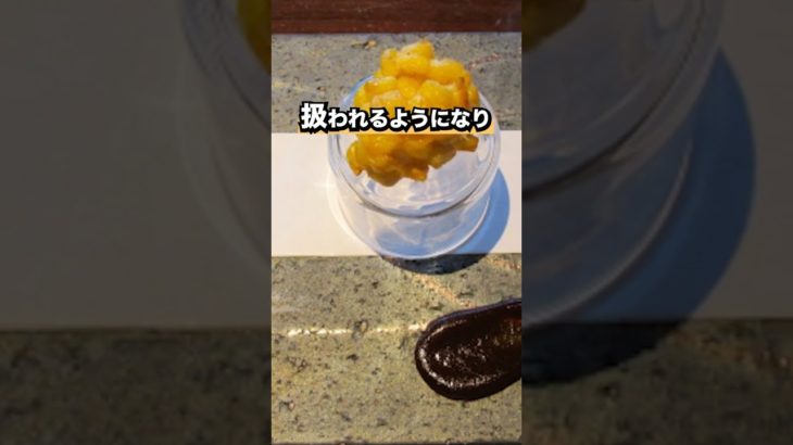 天ぷらの歴史 #歴史 #天ぷら#日本史