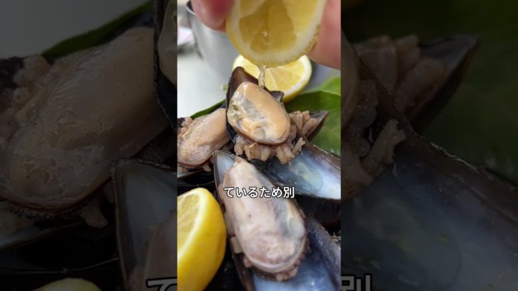 トルコの寿司「ミディエ・ドルマ」