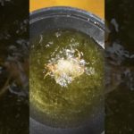 サワガニを油へ。