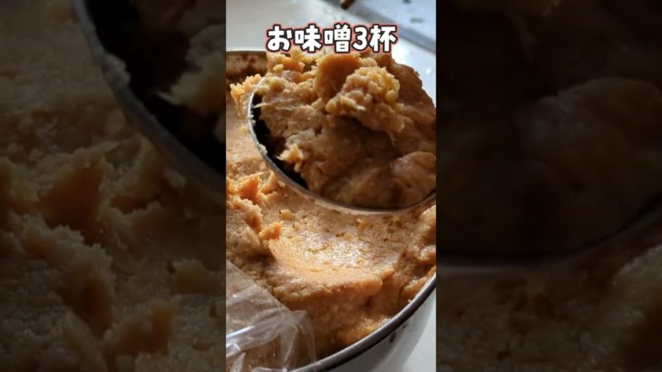 【絶対に賛同する人いない】お正月料理「鯉こく」材料1つレシピ #Shorts