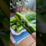 塩漬けより10倍うまい！【屋台風きゅうり】家にある調味料で！#簡単レシピ #料理 #きゅうり #漬物