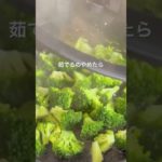 【子ども爆食い 蒸しブロサラダ】#ブロッコリーレシピ#ブロッコリー#ブロッコリーサラダ#野菜レシピ#簡単レシピ#時短レシピ#野菜嫌い克服