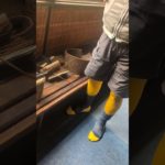 山桜の地植え移植には材料も諸々必要です　作務禅