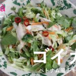 【レンジで簡単ヘルシー】ゴイガー🇻🇳（ベトナム風チキンサラダ）