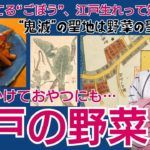江戸の野菜事情～ごぼうは砂糖漬けにしてた!?きんぴらの由来はあの人気キャラ!?聖地・滝野川で徹底調査＆胡蝶しのぶコスプレで紅蓮華歌ってみた～