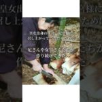 三光院精進料理存亡の危機