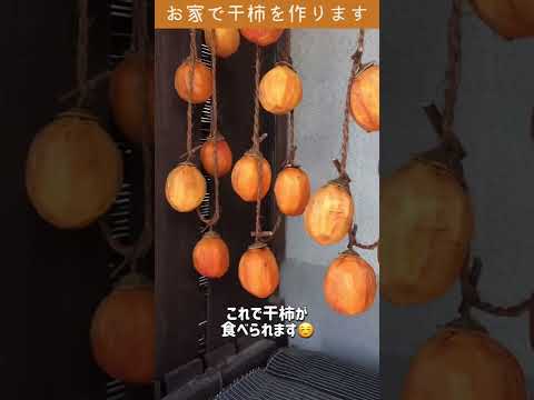 【簡単】誰でも出来る干し柿の作り方