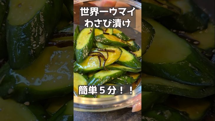 こんなにウマイきゅうりを知ってるかい？！#主婦 #料理 #料理動画 #ままごとキッチン #簡単レシピ #まいにちごはん #おつまみ